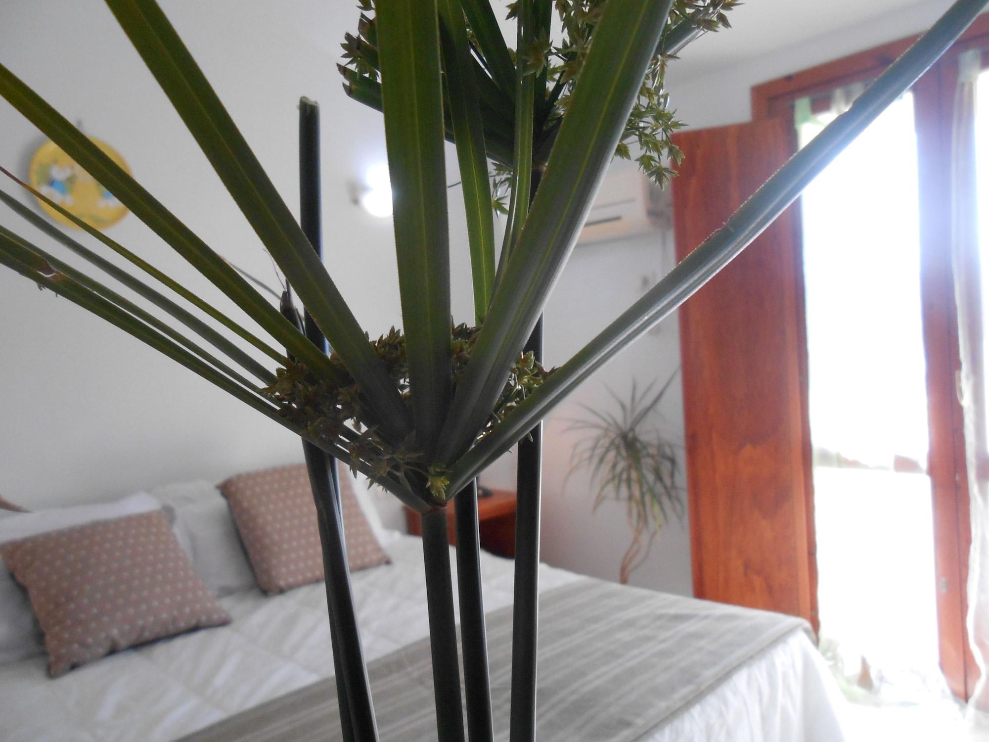 Hotel Velasole 波萨达 外观 照片