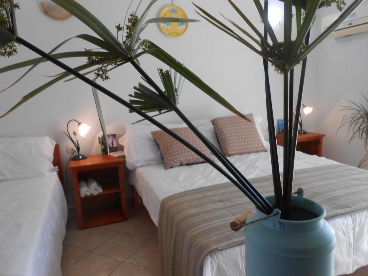 Hotel Velasole 波萨达 外观 照片